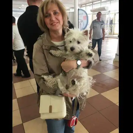 IRINA, 60Ізраїль 