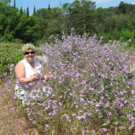 Tamara, 58, Україна - UA WUAMBA