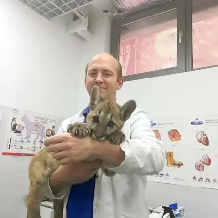 Viktor, 42Україна 