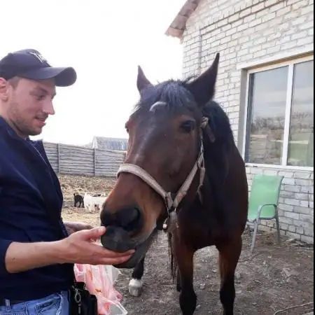 Andrey, 36Україна