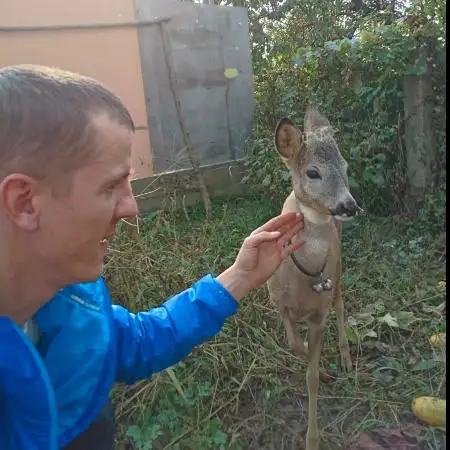 Miki, 38Україна