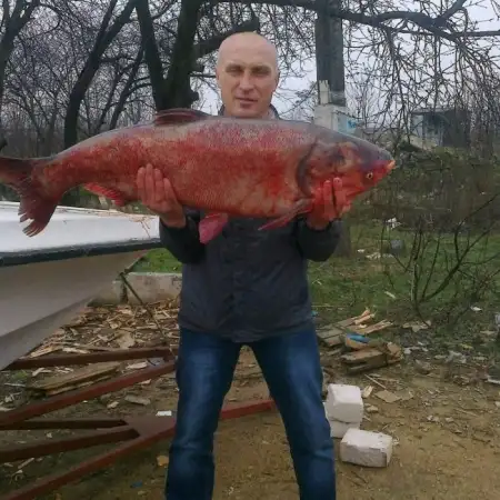 Vyacheslav, 55Україна 