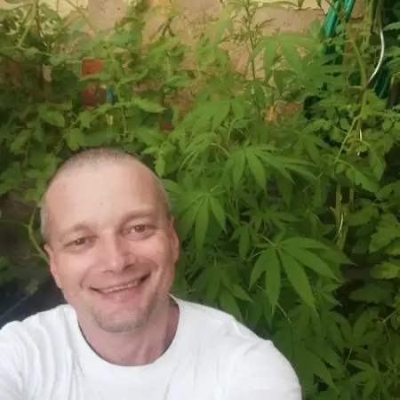 Maksim, 46