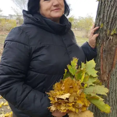 Nastya, 58США 